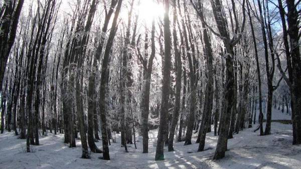Albergo Generale Cantore - Monte Amiata