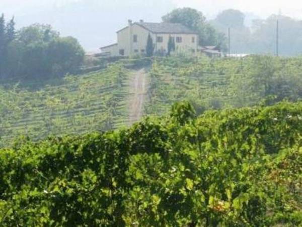 Inviting Apartment in Gatteo with Private Garden