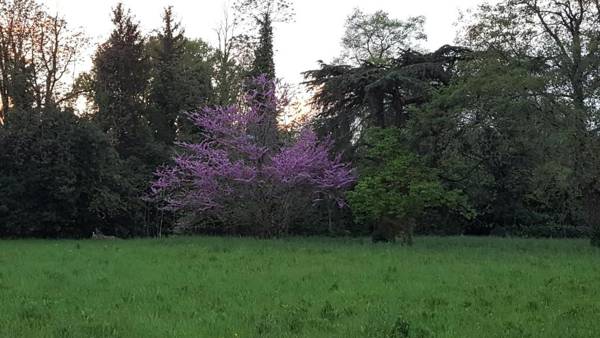 Villa Mainardi Agriturismo