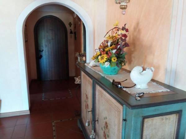 I Delfini di Cala del Faro