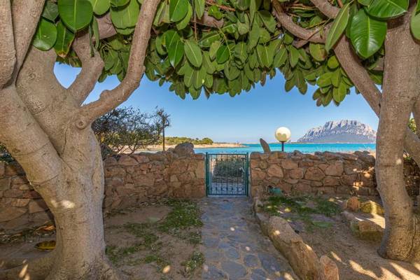 Villa Roxy 10Mt From Seashore