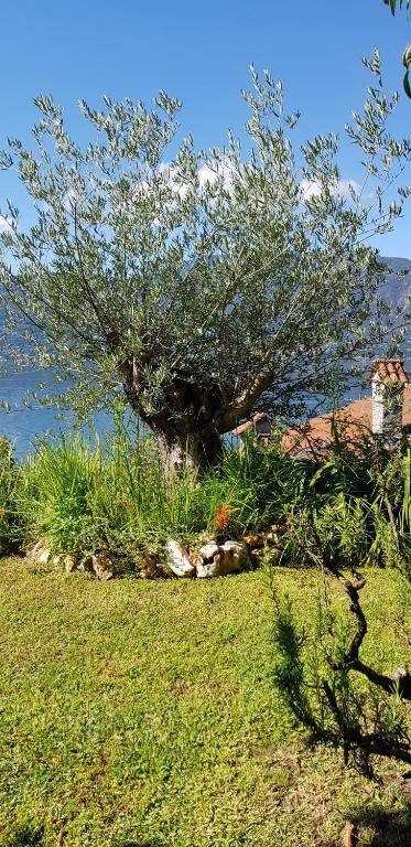 B&B Renalù