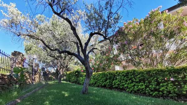 Welcomely - La Casa Di Rita