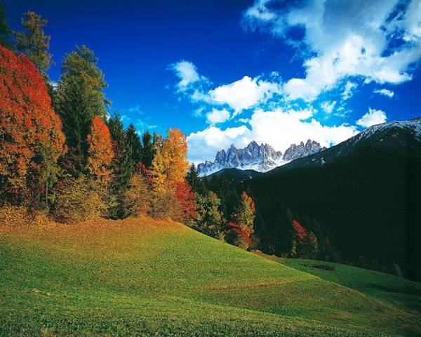 Art Apartment Schatzer