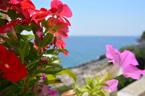 Stupenda dimora sul mare