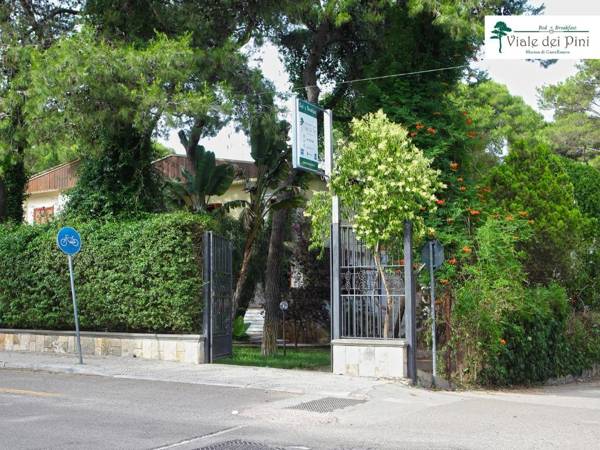 B&B Viale dei Pini