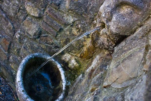 Fattoria di Camporomano