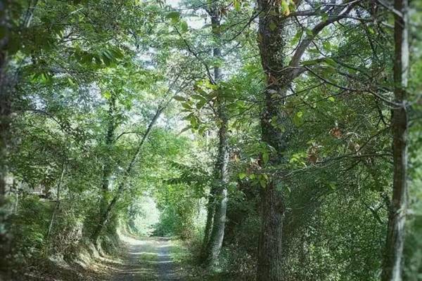 Atmospheric apartment in authentic house near beautiful Sasso Pisano