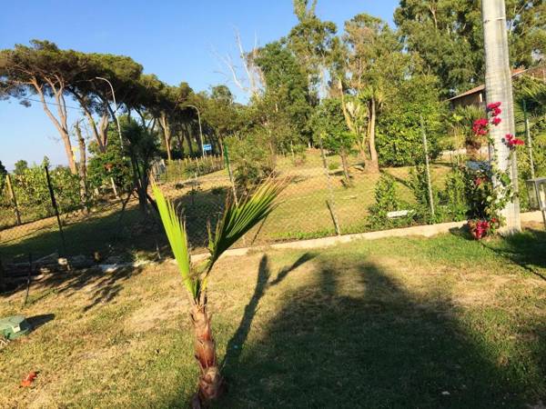 2 bedrooms appartement with enclosed garden and wifi at Cioccatelli 1 km away from the beach