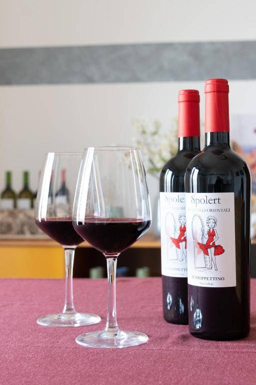 Agriturismo Spolert Winery