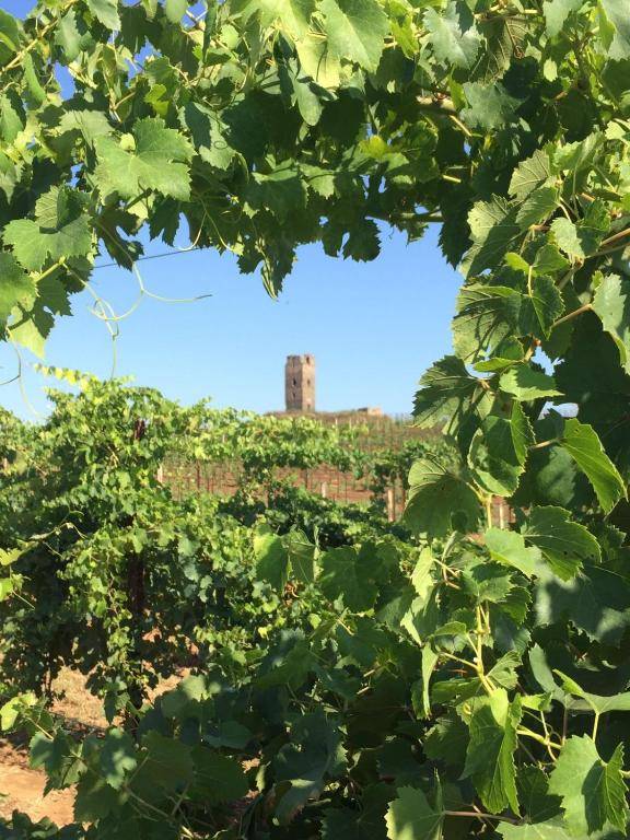 Il Casale degli Ulivi - Agriturismo