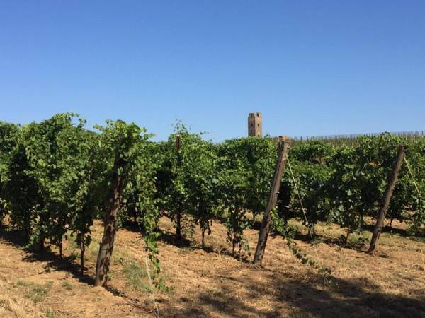 Il Casale degli Ulivi - Agriturismo