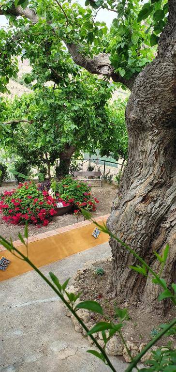 CASA VACANZE FONDACO DI SCILLATO