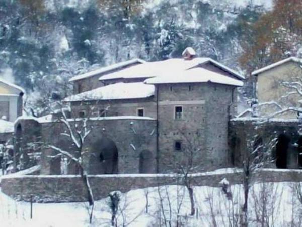 Enticing Holiday Home in Tuscany amid the Forest