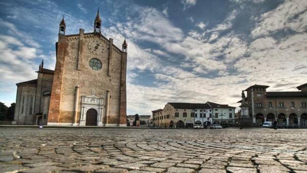 The Comfort Apartment