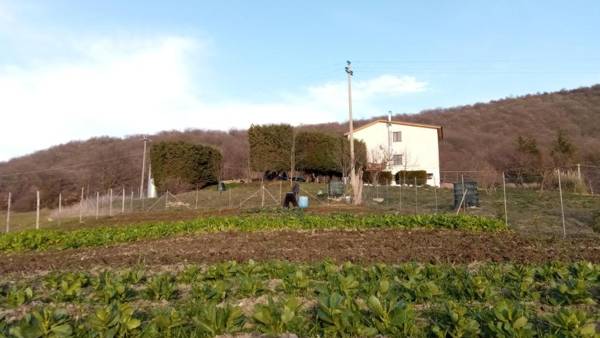 Agriturismo Costa San Bernardo