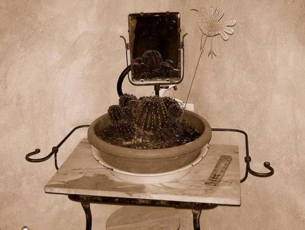 Agriturismo Le Piagge