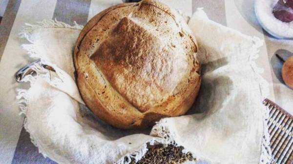 Poggio del Bolognino