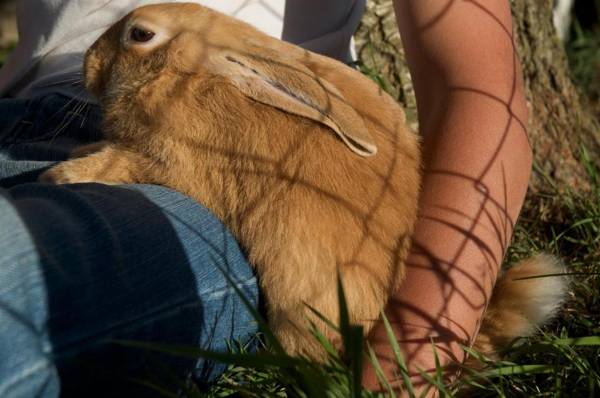 Agriturismo Fiorella