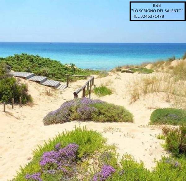 B&B Lo Scrigno del Salento
