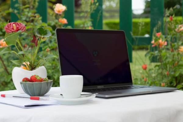 White Tail Organic Farm