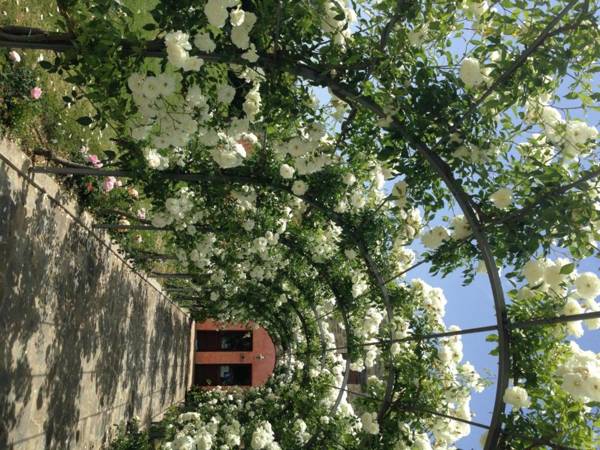 Agriturismo Casale Le Selvette