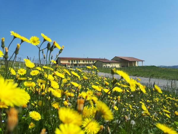 Wine Dreams Holiday Home