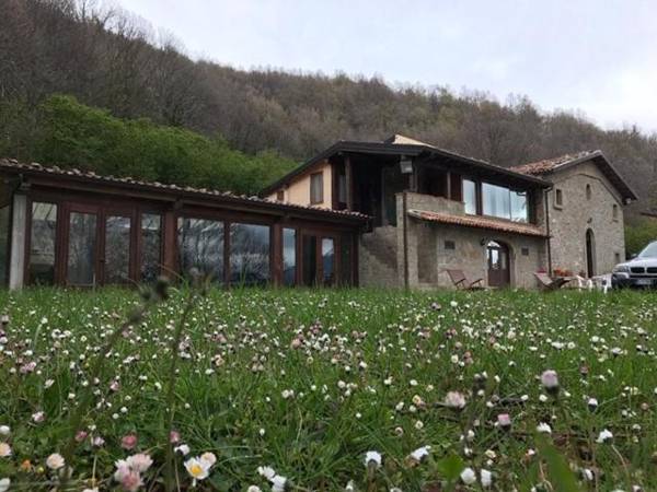 Agriturismo il Vignale