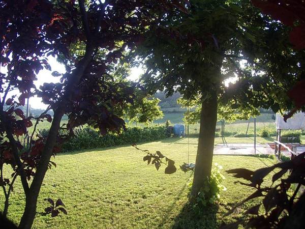 Gavi/Alice Open space