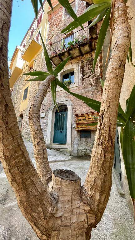 Case Vacanze Farinella