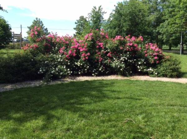 Agriturismo Podere Casino