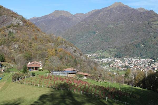 Agriturismo Il Mirtillo BB