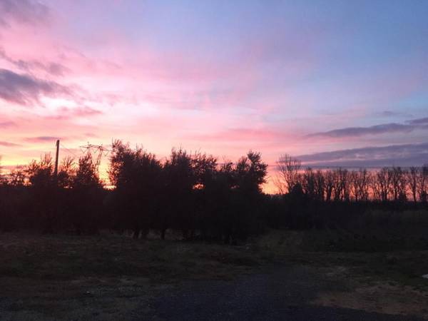 Agriturismo La Casina nel Vigneto