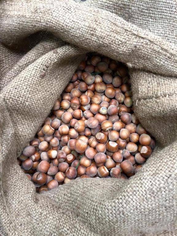 Agriturismo Don Cesarino