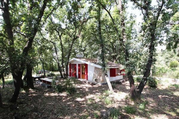 Chalet in the woods nestled in the oak forest in Monterosso Etneo
