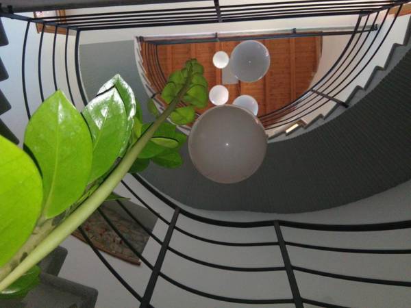 AGRITURISMO BOSCO LONGHINO