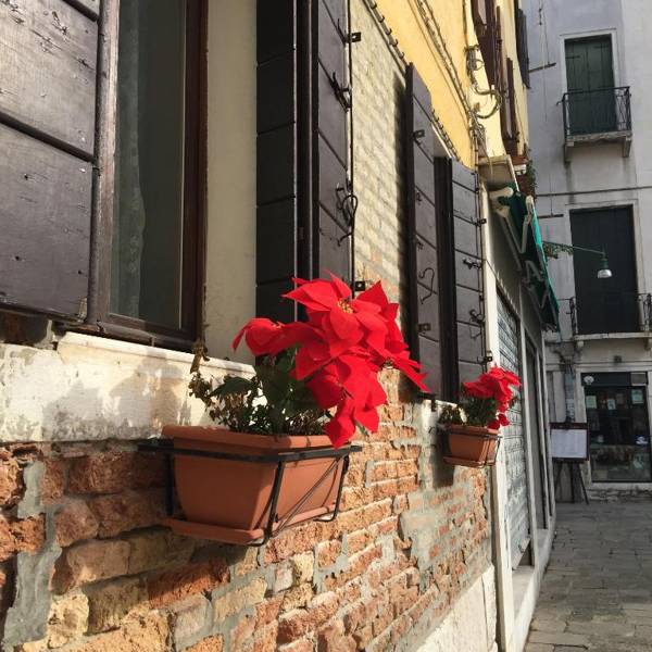 Home Lovers NEW Property 2022