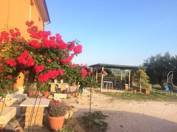 B&B Aesis La Dolce Collina