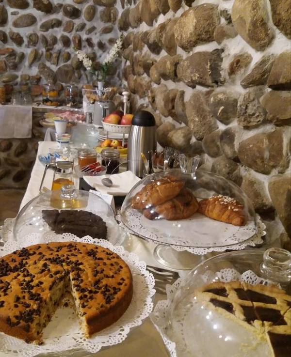 Le vigne sull’Adda