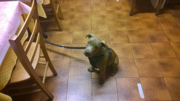 Antico Albergo Sant'Antonio