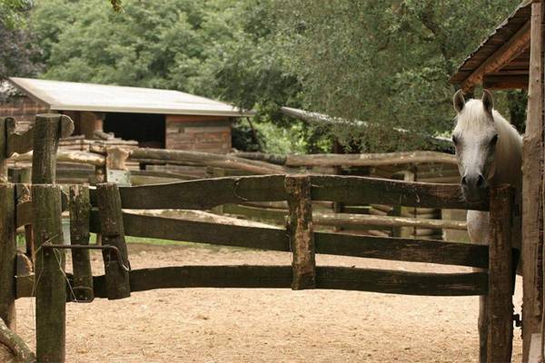 Serene Holiday and Wine Farm