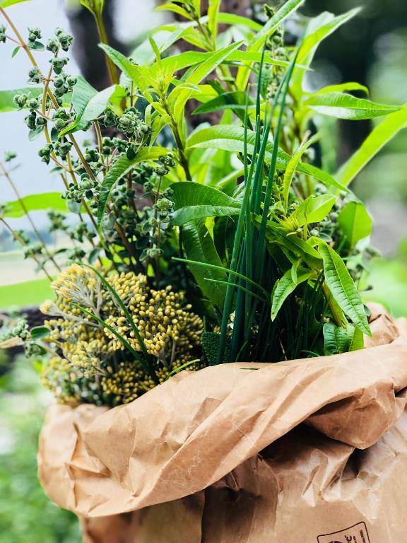 Agriturismo Le Fornase