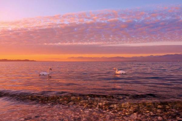 Affittacamere Porticciolo