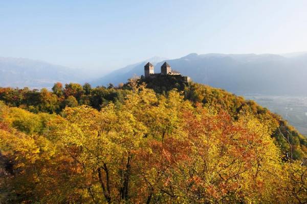 Panoramic Suites Winzerhöhe