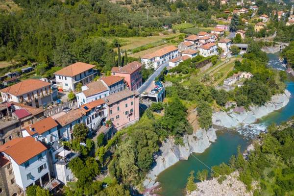 Glicine among vineyard