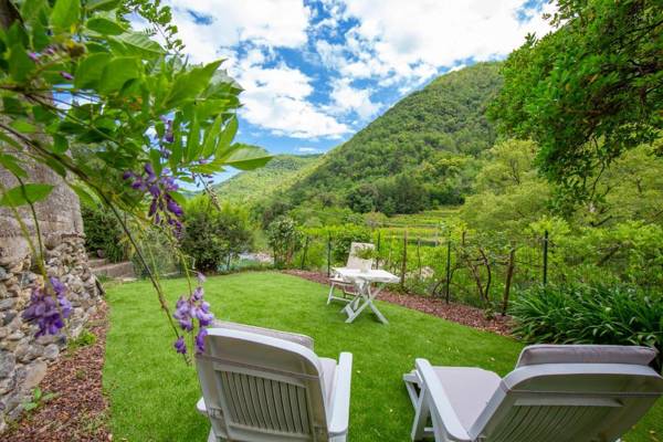 Geraneo among vineyard