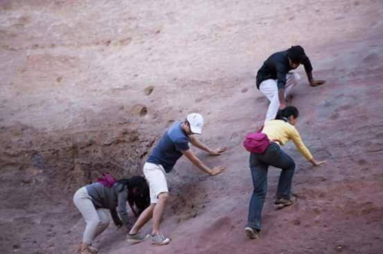 Bedouin Tours Camp