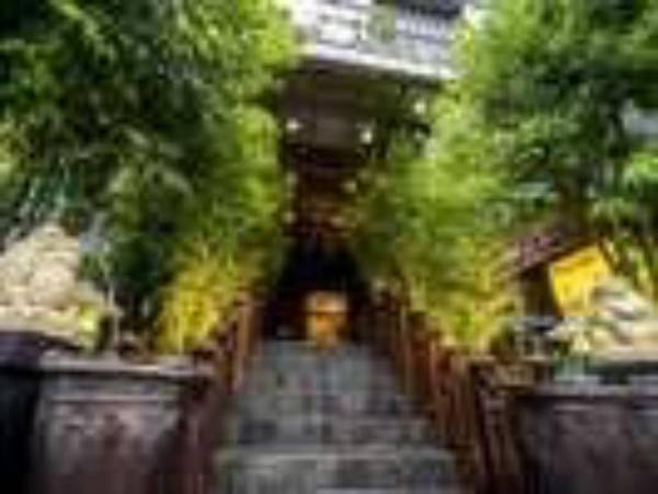 Forest Hotel Produced by Pasela