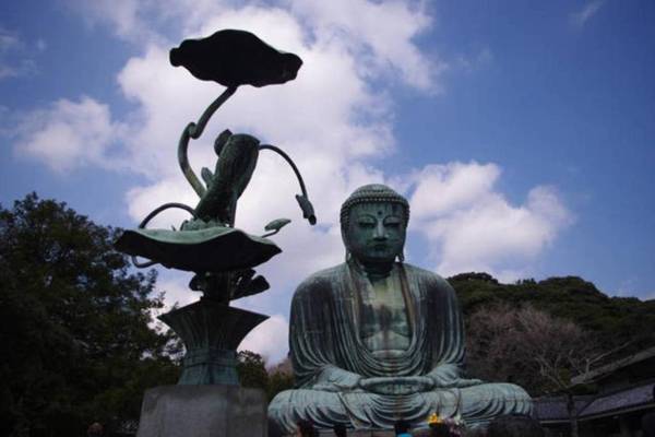 エバーグリーン新宿 リュクス 2m12