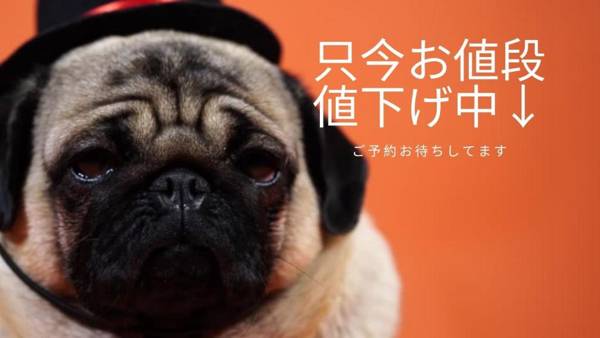 地下鉄すすきの駅 市電狸小路から徒歩約10分 Shimaya Building 島屋ビル 302